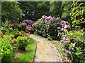 Rhododendrons and azaleas, Southport Crematorium