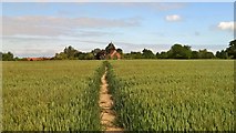 TQ6496 : Track to St Giles church Mountnessing by Chris Morgan
