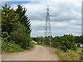 Track and pylon