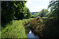 Chorlton Brook