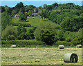 Farmland in the Cherwell valley