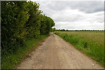 SU4590 : Bridleway near Steventon by Steve Daniels