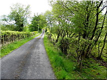 H5475 : Cloghan Road by Kenneth  Allen