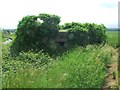 Well hidden pillbox by Staple Road, near Wingham