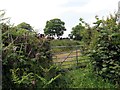 Llwybr Gwraeth Path