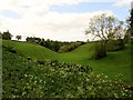 A  smooth  green  valley