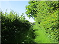 Permissive path alongside Sykes Wood