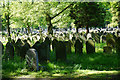 Sunlight on gravestones in Southern Cemetery