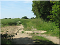 Footpath to Cranley Farm