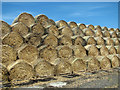 TM2073 : Straw bales neatly stacked by Evelyn Simak