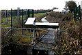 Platform over Forge Rhyne, Highbridge