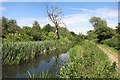 River Cray and London Loop