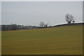 Farmland by the Chiltern Line