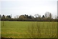 Field by the Chiltern Main Line