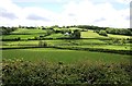 Fields next to the A4067 looking towards Coed-Howell