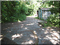 Concrete hardstanding on the edge of Redlingfield Wood