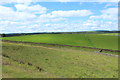 Farmland at Ochiltree