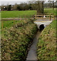 Drainage channel near Westbury-on-Severn sewage treatment works