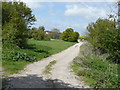 Track to Thornton Farm