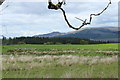 Farmland near Glenvernoch