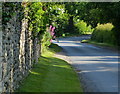 Lane near Home Farm Cottages in Rousham