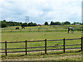 Paddocks between M1 and  A41