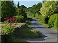 Middle Aston Lane in Middle Aston