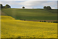 Fields at Bogindollo near Forfar