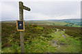 The Pennine Way by Mount Pleasant