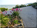 On the Promenade at Eastbourne