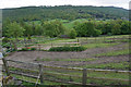 Fields for horses near Grindleford