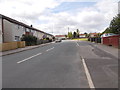 Ash Tree Approach - Stanks Gardens