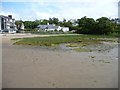 The northern corner of the bay, Borth y Gest