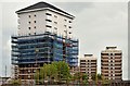 Artillery Flats, Belfast (June 2015)