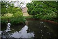 Pond (1), Charlton Kings, Cheltenham, Glos