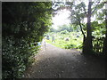 Allotments on Gipsy Lane, Wokingham