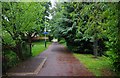 Footpath & cycleway from Cox