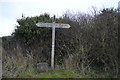 SY9977 : Fingerpost, Priest's Way by N Chadwick