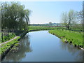 The New River south of the New Gauge