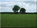 Farmland near Shepherd