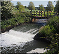 SO8560 : Weir on the River Salwarpe by Peter Young