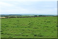 Farmland at Repentancehill