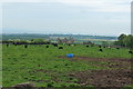 Farmland at Repentance Tower