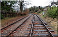 Railway spur NNW of Yorkley Road level crossing, Parkend