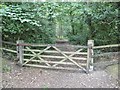 SZ3598 : Norley Inclosure, gate by Mike Faherty
