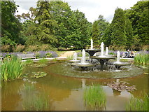 TL4557 : Fountains in Botanic Gardens by Paul Gillett