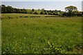 Farmland north of Clocaenog