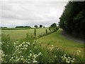 Road  into  East  Ings  Farm