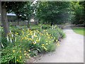 TL4557 : Flowers in Botanic Gardens by Paul Gillett