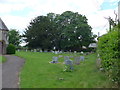 Christ Church, East Stour: churchyard (ii)